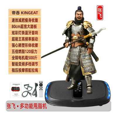 帝吞张飞抖抖甩脂机男士摇摆律动全身燃脂瘦肚子塑形减肥器减脂肪