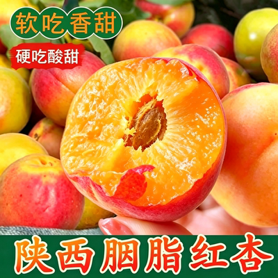 陕西胭脂红杏梅杏肉杏
