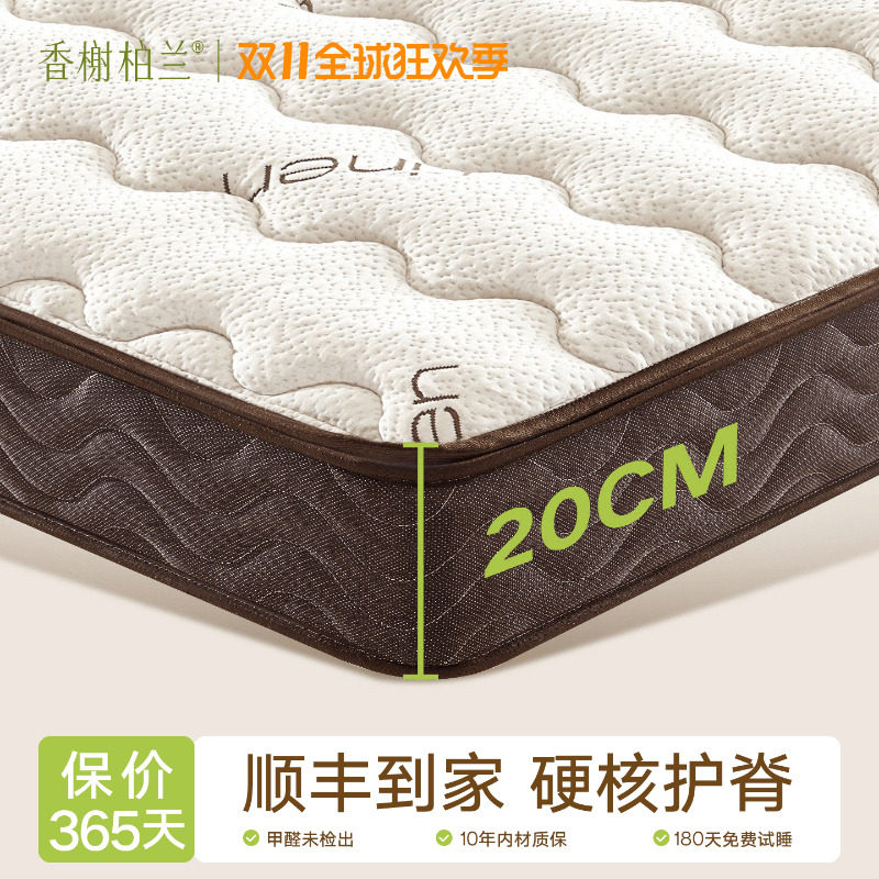 天然椰棕床垫20cm厚棕垫偏硬床垫高20厘米环保乳胶不塌陷20公分