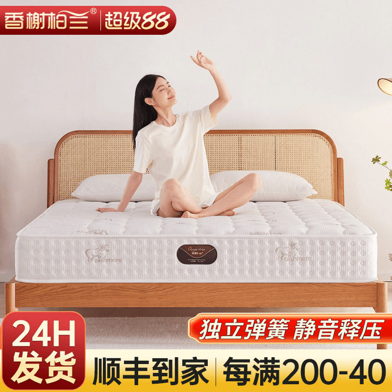 床垫家用卧室席梦思乳胶椰棕儿童袋装独立静音弹簧床垫厚20cm公分