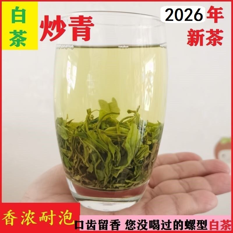 溧阳天目湖白茶制炒青毛峰碧螺春浓香型原产地口粮茶2026年新茶