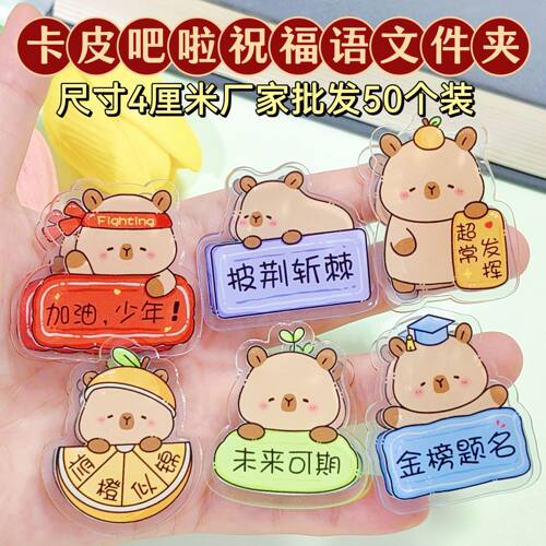 学生礼物学生奖品卡皮巴拉双面夹