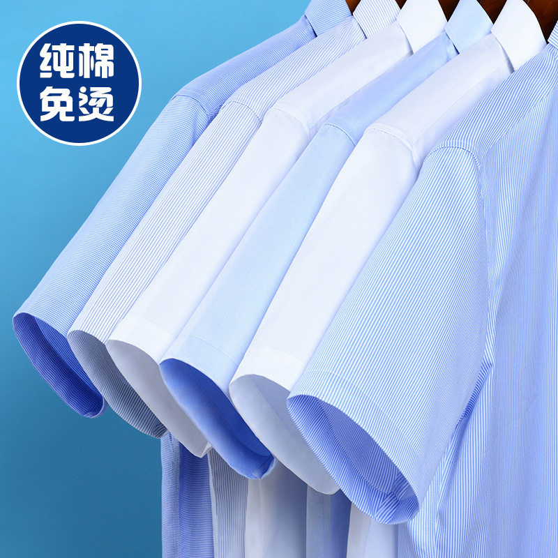 【领导专用衬衫】男士白色纯棉液氨免烫短袖衬衫工装职业装商春夏