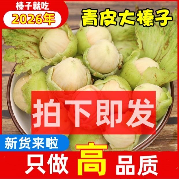 2026新货水仁大榛子新鲜绿皮青皮东北特产薄皮现货发完