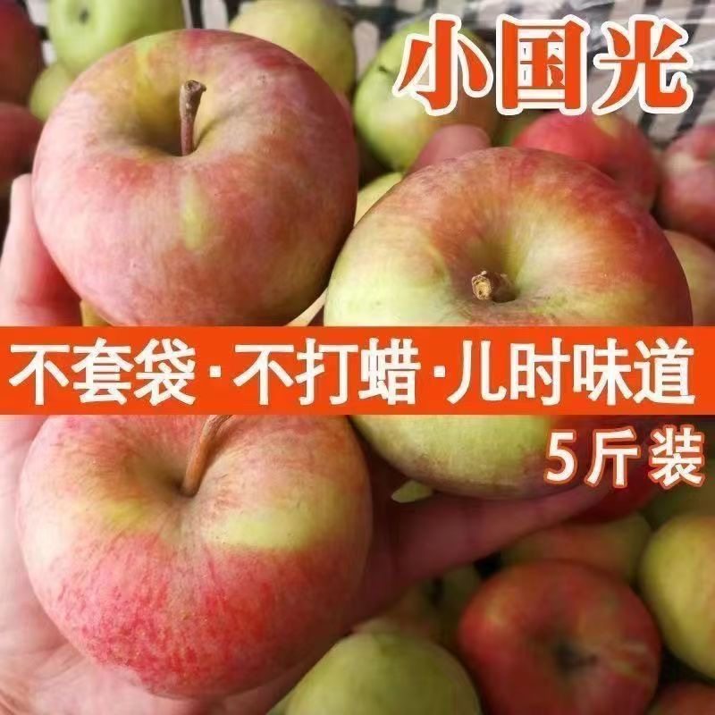 正宗2025东北国光苹果小苹果冰糖新鲜红富士特产孕妇整箱水果