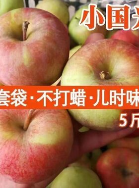 正宗2025东北国光苹果小苹果冰糖新鲜红富士特产孕妇整箱水果
