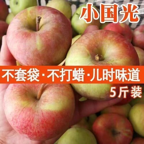 正宗2025东北国光苹果小苹果冰糖新鲜红富士特产孕妇整箱水果