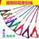 7斤宠物狗狗绳涤纶印花胸背带牵引绳泰迪比熊遛狗绳小狗幼犬绳