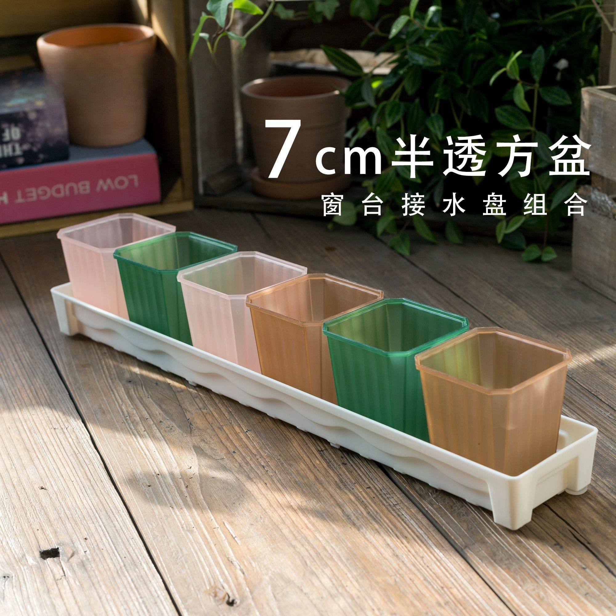 长条接水盘多肉花盆暮光盆7cm半透塑料窗台组合多肉盆栽花卉绿植