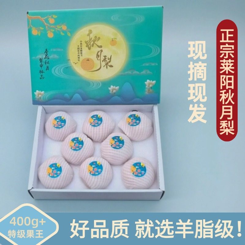 正宗莱阳秋月梨新鲜冰糖梨子山东雪梨当季水果中秋礼盒装顺丰包邮