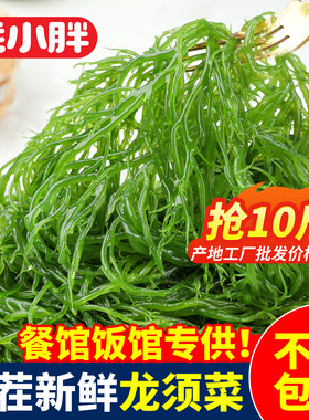 盐渍龙须菜海草5斤/10斤