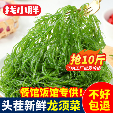 龙须菜新鲜盐渍海草菜凉拌菜非干货海藻火锅食材商用批发5斤整箱