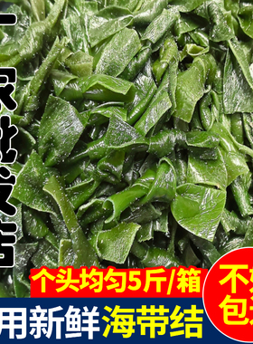 新鲜海带结商用净重5斤海带扣半干货关东煮火锅串串食材非特级厚