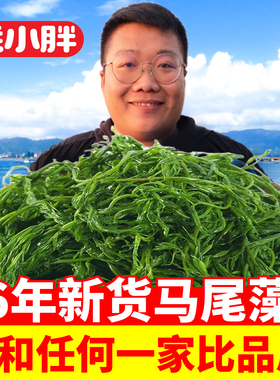 鞭炮笋长寿菜海草新鲜马尾藻海藻菜羊栖菜火锅食材批发商用5斤/箱