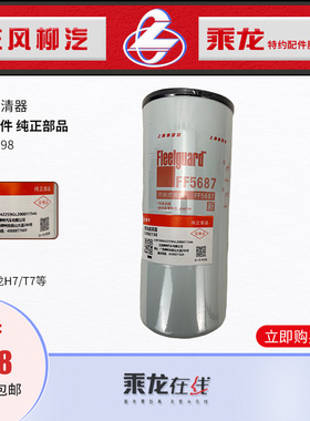 顺丰包邮原厂纯正配件乘龙H7/T7康明斯柴油滤清器C4960198 FF5687