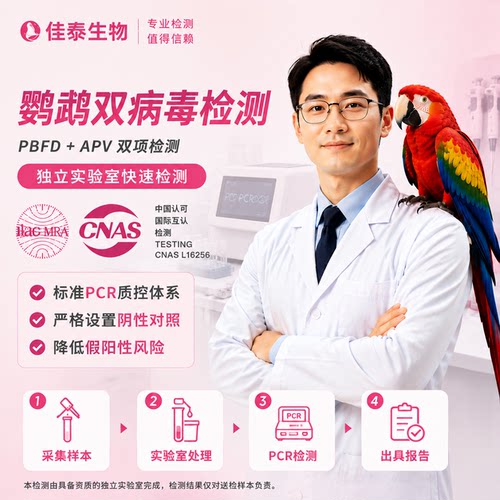 鹦鹉鸟类双病毒DNA检测