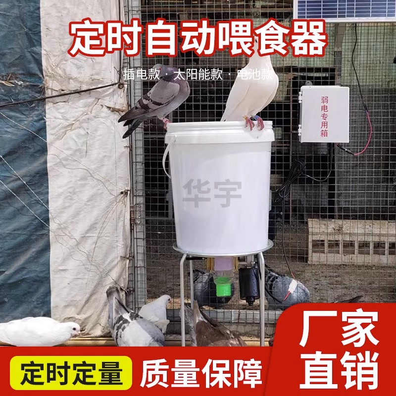 太阳能自动喂食器定时定量鸽子鸡鸭鹅狗喂料机投食器用品用具远程