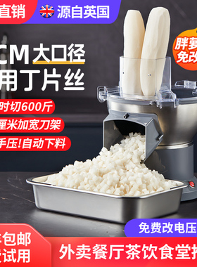切菜神器厨房多功能萝卜块洋葱粒土豆丝片芒果切条食堂商用切丁机