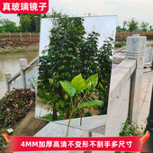 30CM宽玻璃镜全身穿衣镜免打孔贴墙浴室镜多尺寸方形拍照摄影反光