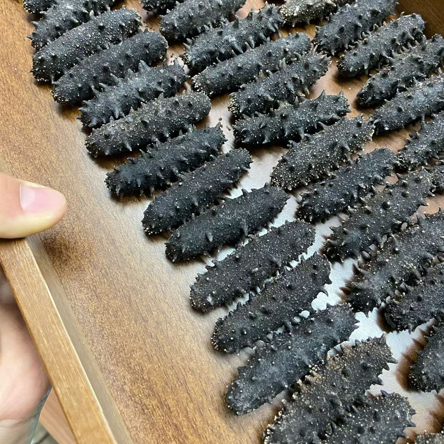 过年送礼大连淡干海参免煮速发辽刺参非即食海参干货礼盒50g100g
