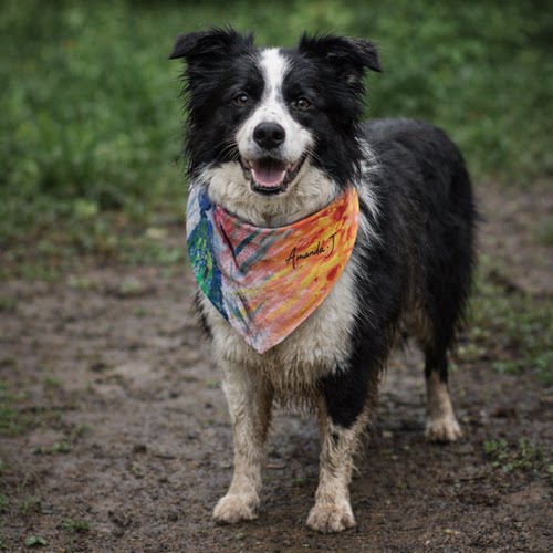 DGDG艺术家联名系列 口水巾 18奥克兰的跨年烟花