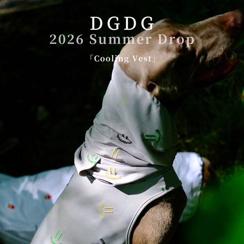 DGDG夏季高领凉感背心