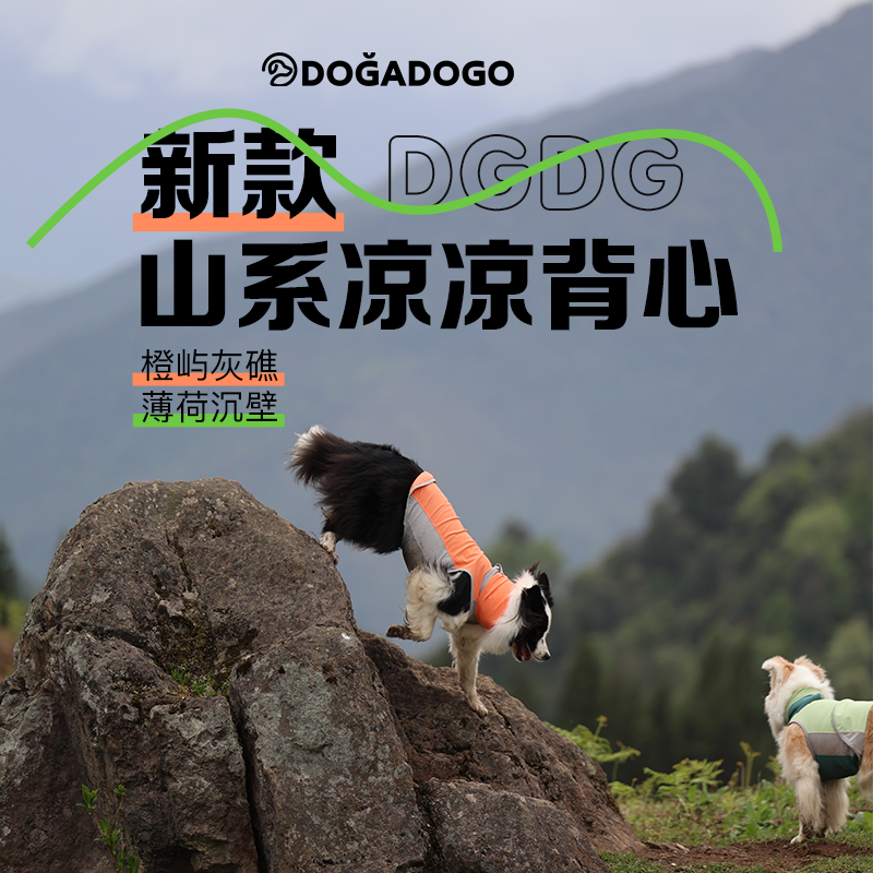 DGDG宠物夏季凉凉背心2025新款