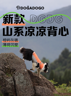 DGDG山系狗狗高领凉凉背心 2025新款 冰丝透气 狗狗夏季凉凉衣