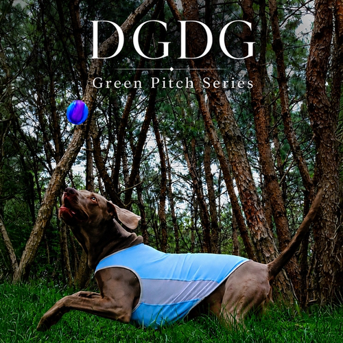 DGDG狗狗凉感背心夏季透气速干