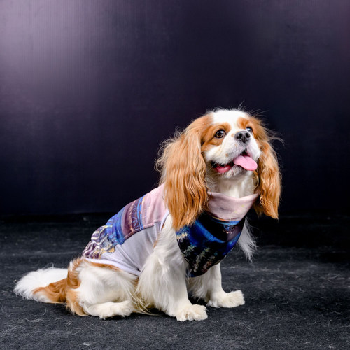 DGDG艺术家联名系列口水巾