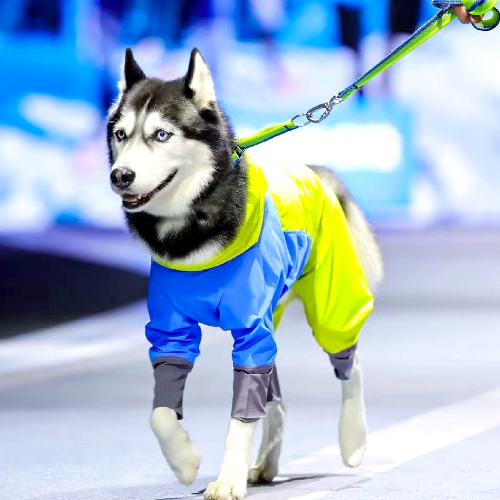 DGDG全方位防雨狗狗雨衣