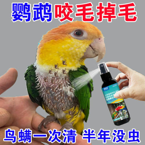 鹦鹉专用驱虫喷雾不啄毛