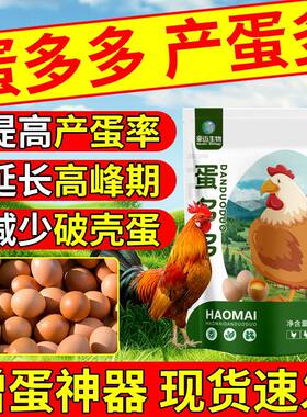 催鸡下蛋满窝鸡鸭鹅鸽子