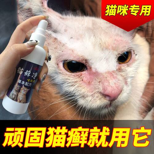猫癣止痒猫咪皮肤真菌感