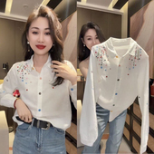 上衣简约风多巴胺扣子女装 春秋季 刺绣POLO领长袖 衬衫 新款 百搭棉款