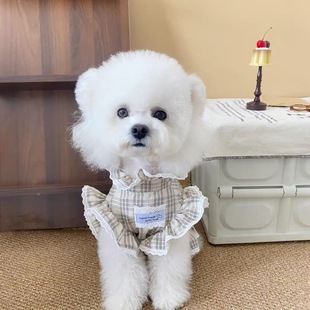 宠物狗狗猫咪情侣装宠物礼服衬衫领带小狗小型洋装西装裙子衣服