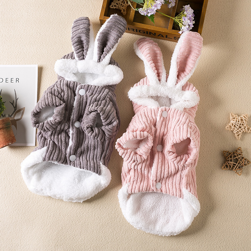 狗狗秋冬可爱两脚保暖加厚宠物