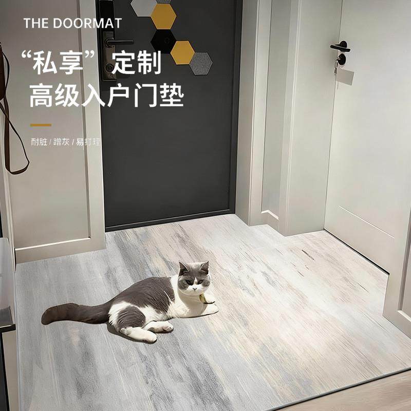 高级新款进门地毯门口脚垫轻奢门垫耐脏玄关免洗可裁剪入户门地垫,居家布艺,入户地垫,淘宝优惠券,粉丝福利购,淘宝优惠卷