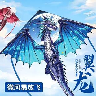 仿真翼龙风筝潍坊新款成人新手初学者冰火儿童三角长尾易飞地摊