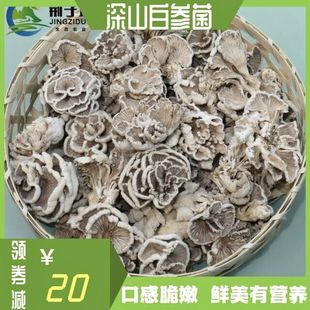 优选品质裂褶菌干货雪莲菌南召宝天曼荆子垛牌特产 白参菌500g 包邮