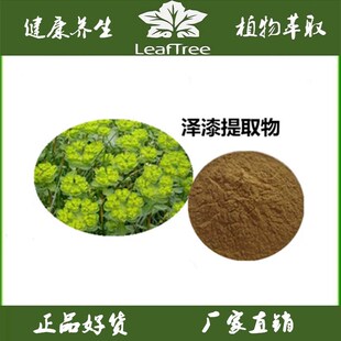 泽漆提取物 五朵云浓缩萃取粉 水溶猫儿眼草提取物精华粉 送量勺