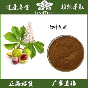 天然娑罗果提取物七叶皂苷20%七叶树萃取物马栗树皂甙40%萃取精华
