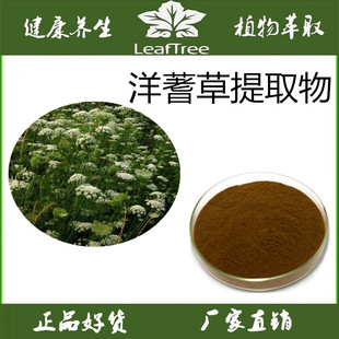 欧蓍草提取物洋蓍草浓缩粉西洋蓍草免煎粉欧蓍草萃取精华粉送量勺