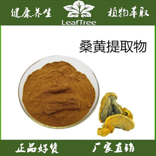 野生桑黄提取物 桑黄子实体萃取粉 桑黄多糖70% 真菌多糖精华粉