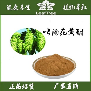 啤酒花提取物 浓缩萃取粉 啤酒花黄酮5%10% 香蛇麻浸膏水溶精华粉