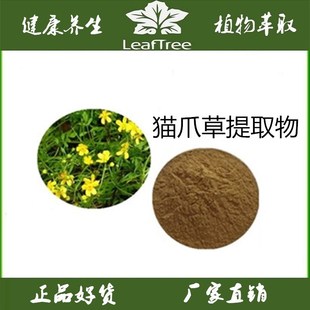 猫爪草提取物萃取浓缩粉 猫抓草粉 水溶猫爪儿草萃取精华粉食品级