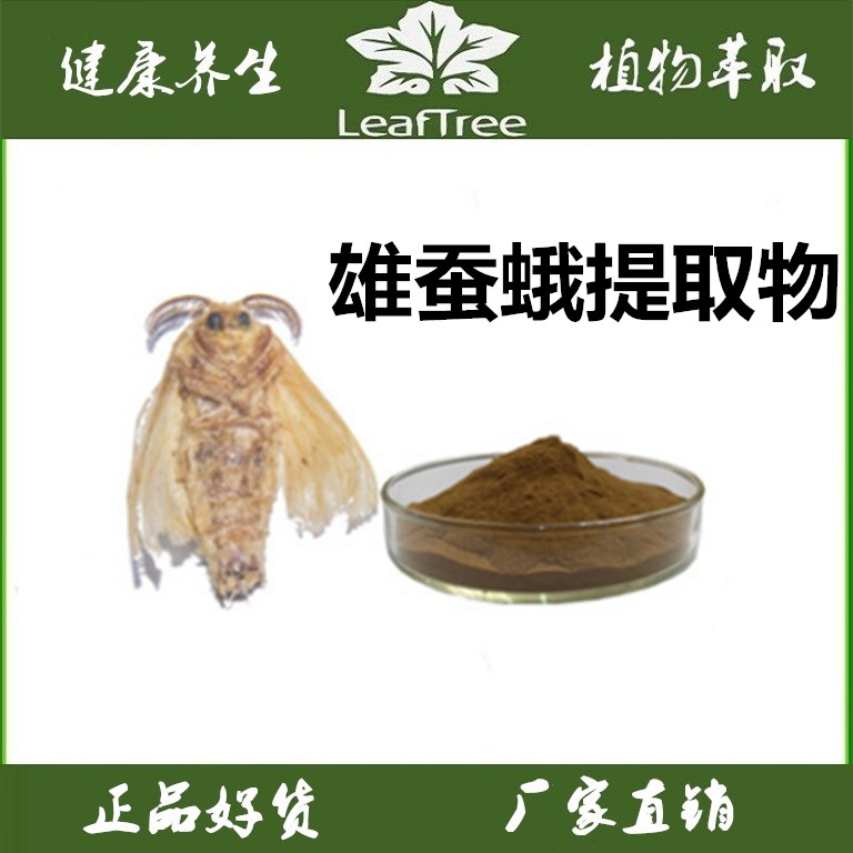 雄蚕蛾提取物 浓缩粉雄蚕蛾萃取纯粉 男用高浓度雄蚕蛾浓缩精华粉