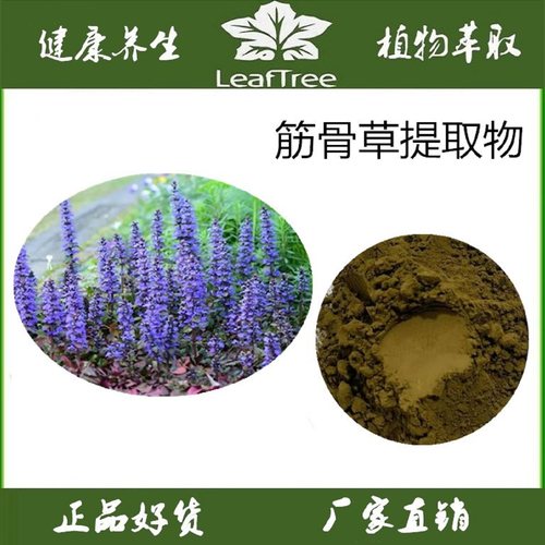 新疆筋骨草提取物土克甾酮甾醇