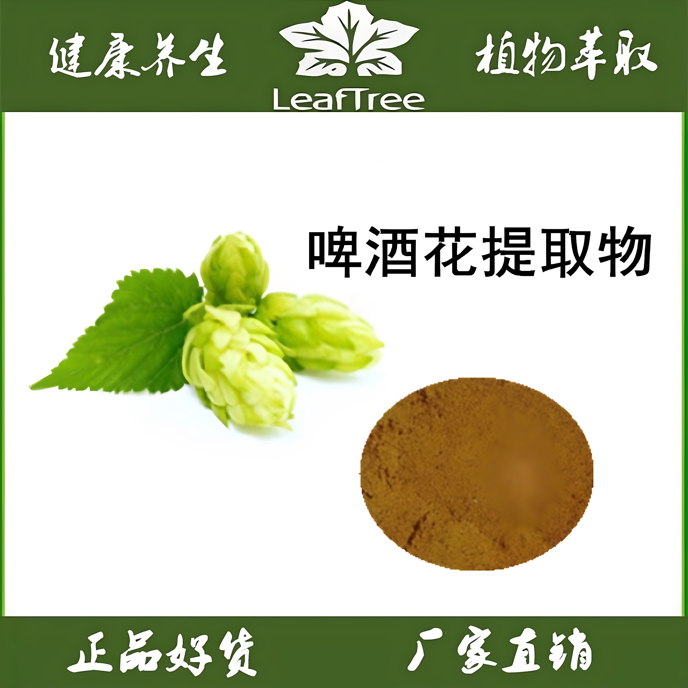 啤酒花提取物黄腐醇黄腐酚精华