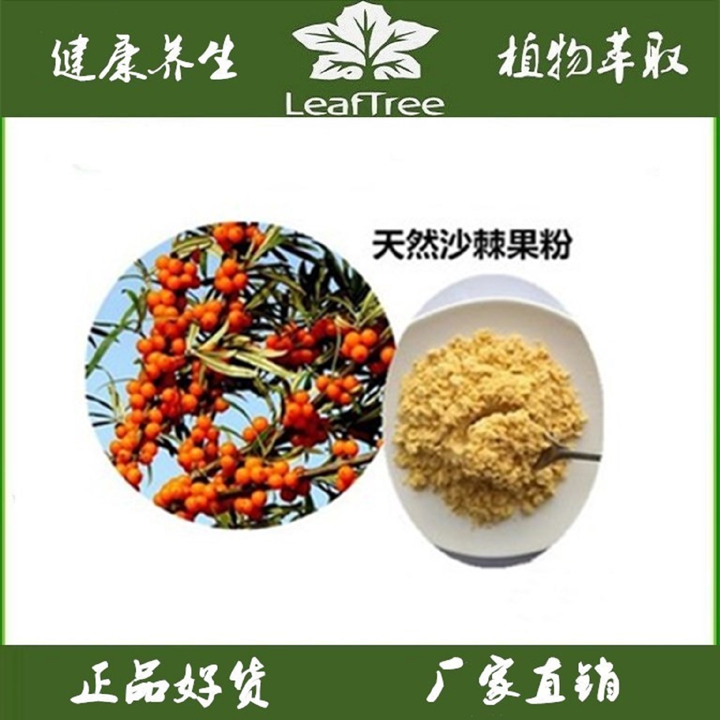 纯天然沙棘果汁粉 沙棘果 食品级无添加沙棘果粉厂家销售无塑化剂
